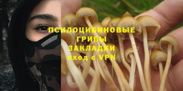 кокс Михайловск