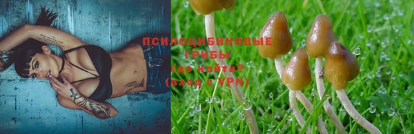 стафф Беломорск