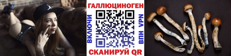 Псилоцибиновые грибы прущие грибы  Беслан 