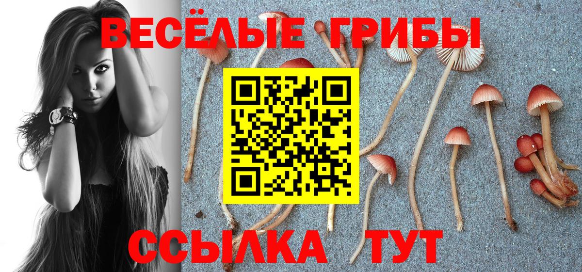 Псилоцибиновые грибы мухоморы  Вход с VPN  Галлюциногенные грибы прущие грибы  Беслан 